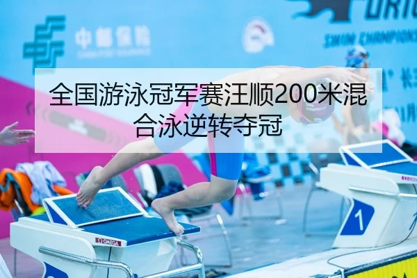 quan-guo-you-yong-guan-jun-sai-wang-shun-mi-hun-he-yong-ni-zhuan-duo-guan-3-970.jpg