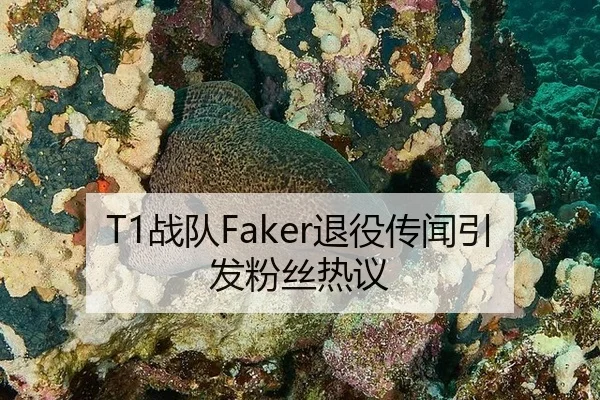 T1战队Faker退役传闻引发粉丝热议