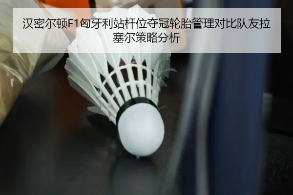 han-mi-er-dun-xiong-ya-li-zhan-gan-wei-duo-guan-lun-tai-guan-li-dui-bi-dui-you-la-sai-er-ce-lve-fen-xi-2-939.jpg