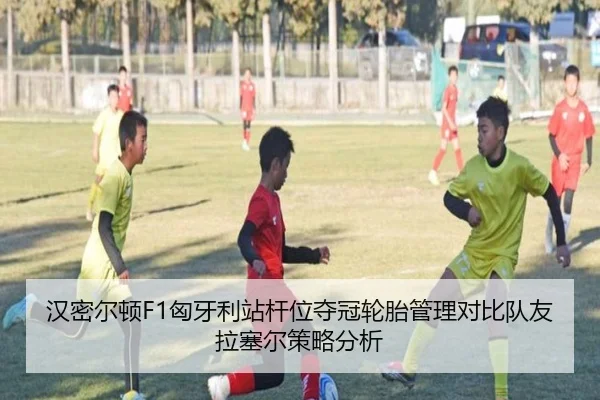 han-mi-er-dun-xiong-ya-li-zhan-gan-wei-duo-guan-lun-tai-guan-li-dui-bi-dui-you-la-sai-er-ce-lve-fen-xi-3-388.jpg