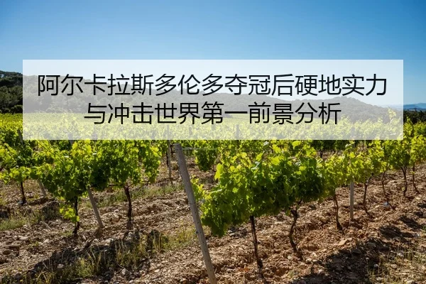 阿尔卡拉斯多伦多夺冠后硬地实力与冲击世界第一前景分析